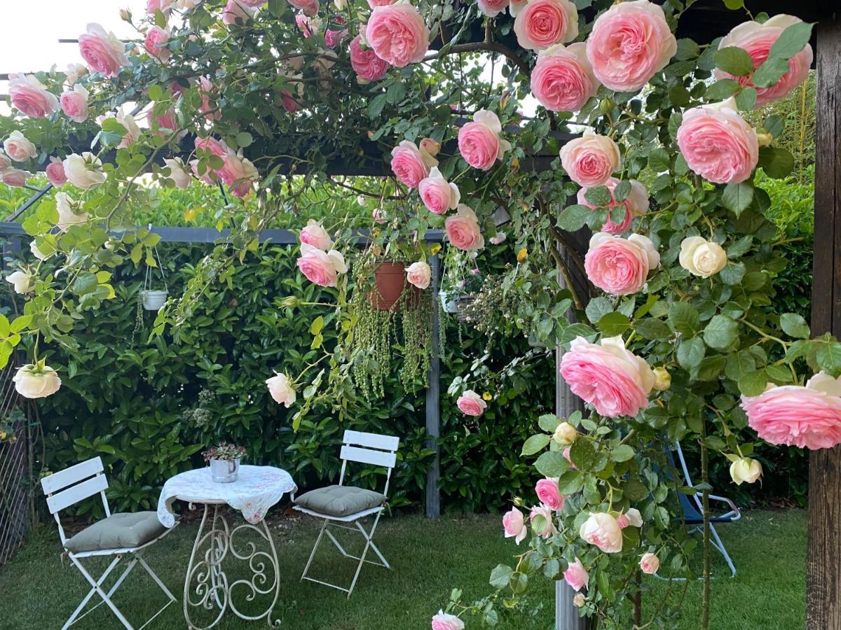 פיאנו רומאנו La Locanda Del Tevere מראה חיצוני תמונה