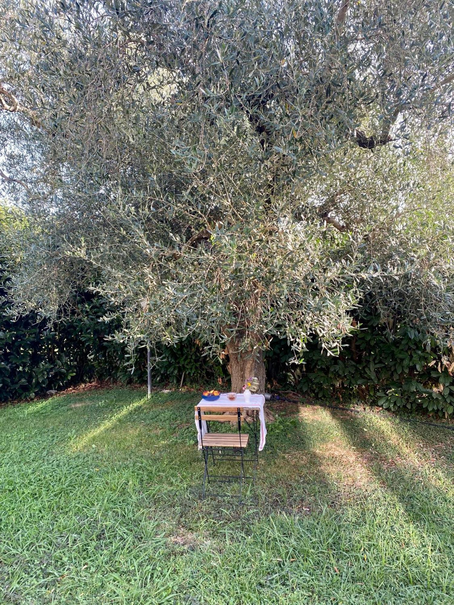 פיאנו רומאנו La Locanda Del Tevere מראה חיצוני תמונה