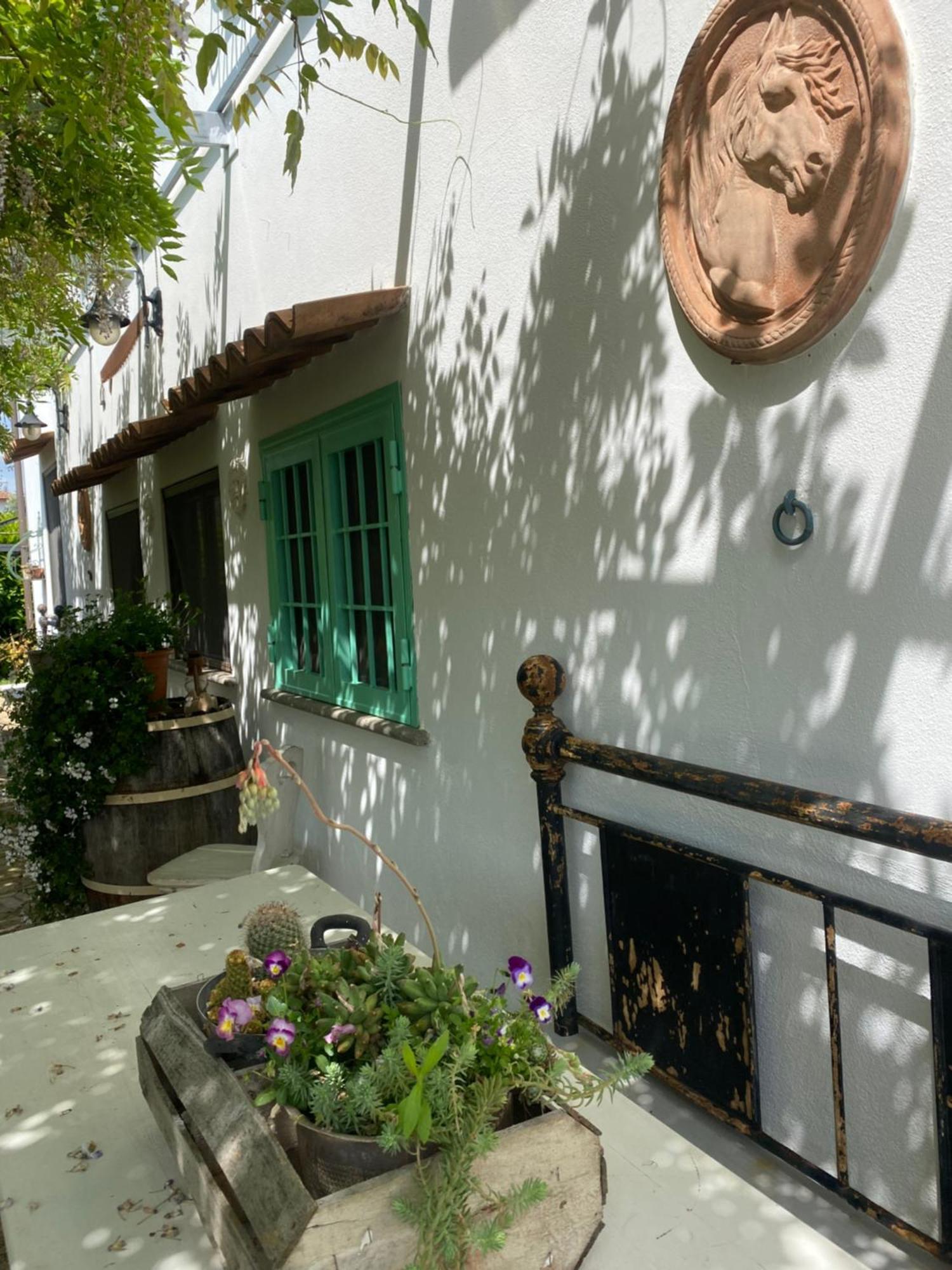 פיאנו רומאנו La Locanda Del Tevere מראה חיצוני תמונה