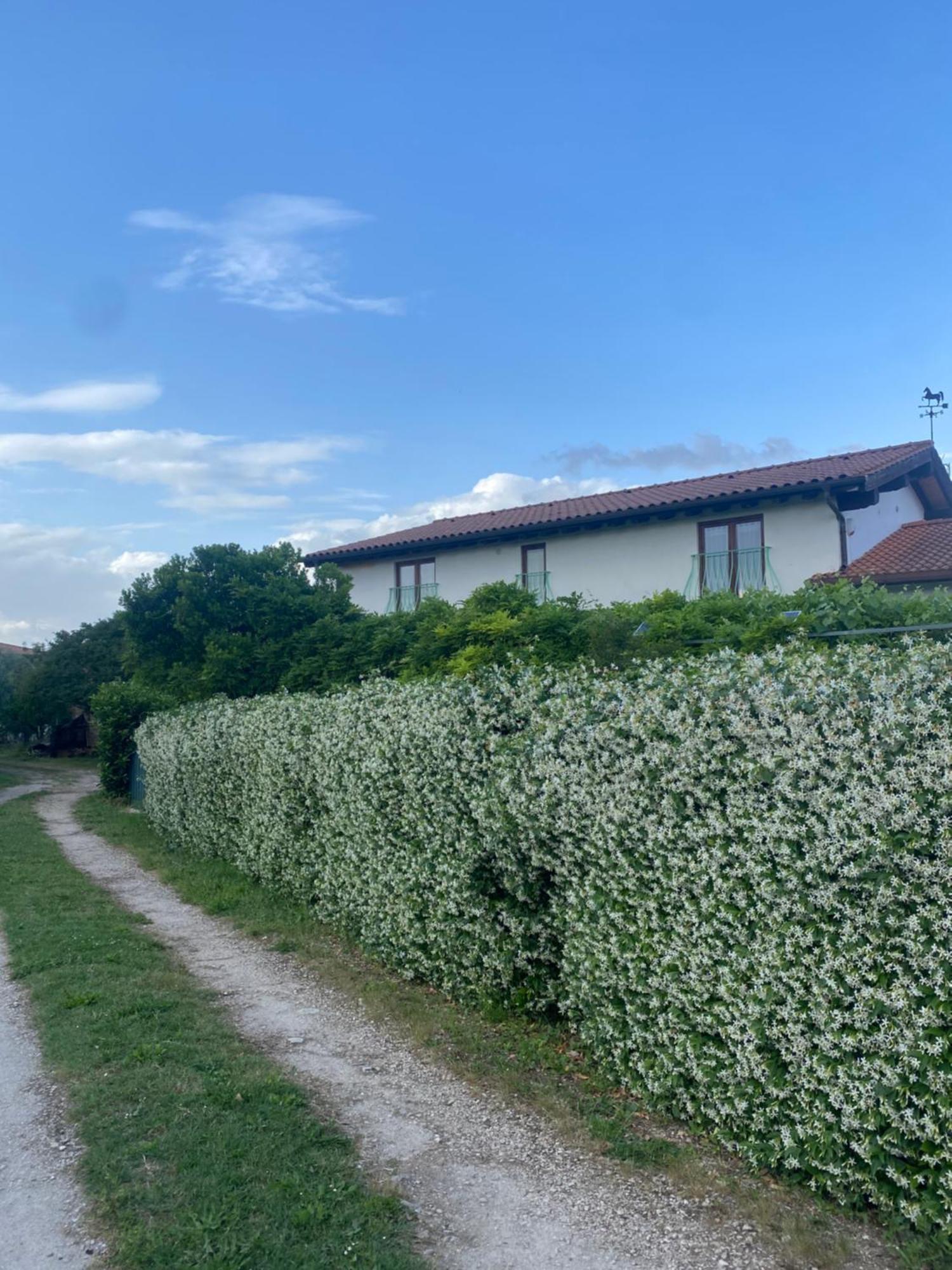 פיאנו רומאנו La Locanda Del Tevere מראה חיצוני תמונה