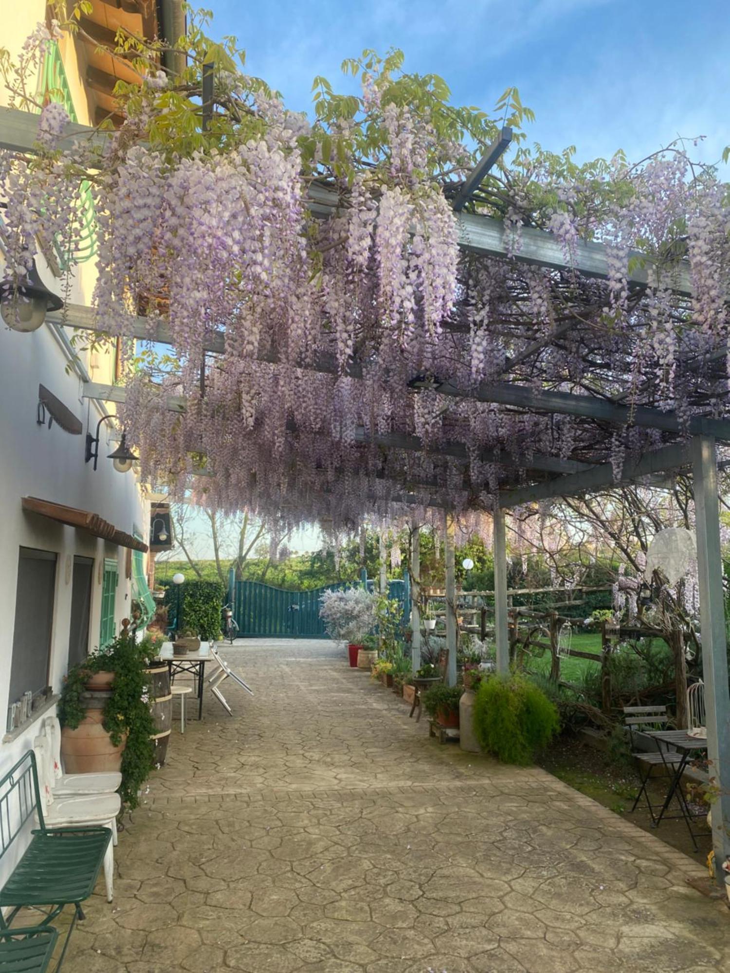 פיאנו רומאנו La Locanda Del Tevere מראה חיצוני תמונה