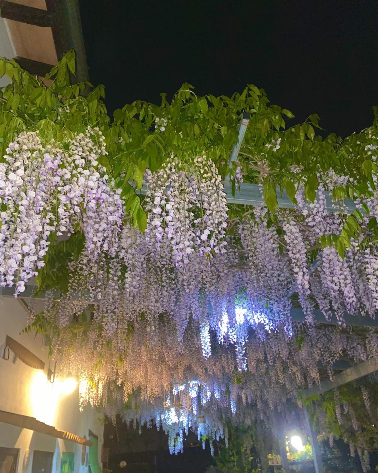 פיאנו רומאנו La Locanda Del Tevere מראה חיצוני תמונה