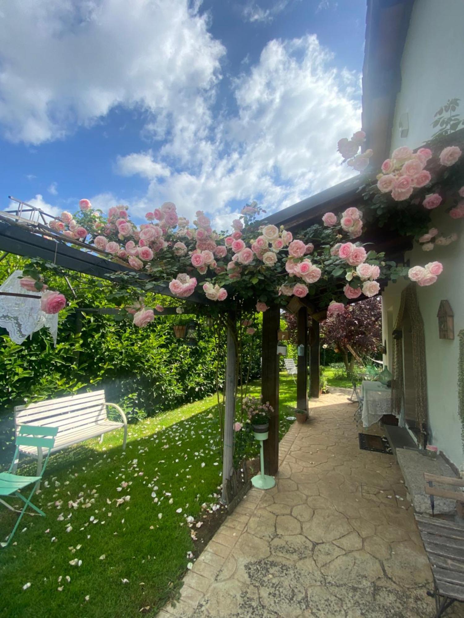 פיאנו רומאנו La Locanda Del Tevere מראה חיצוני תמונה