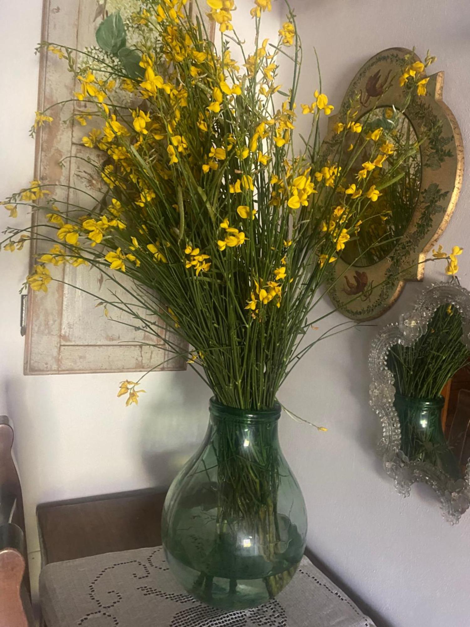 פיאנו רומאנו La Locanda Del Tevere מראה חיצוני תמונה