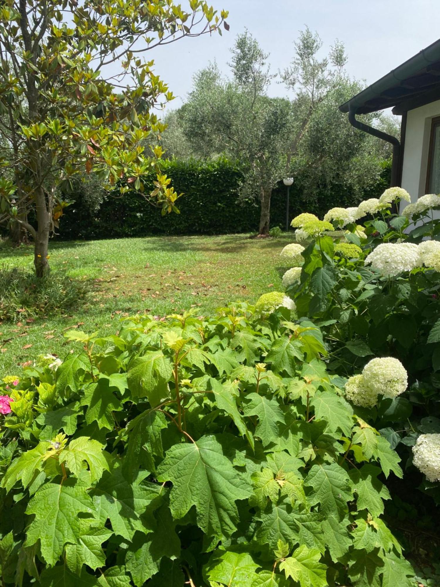 פיאנו רומאנו La Locanda Del Tevere מראה חיצוני תמונה